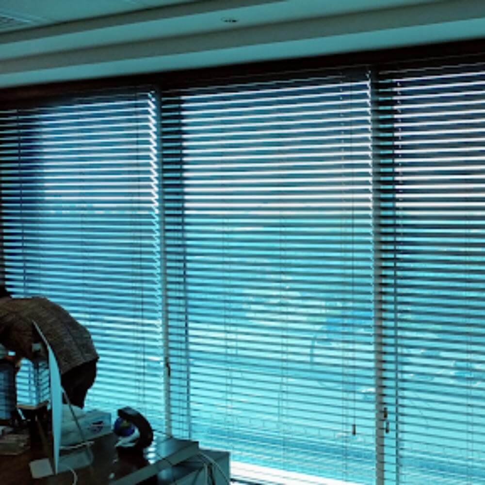 Venetian <br> Blinds